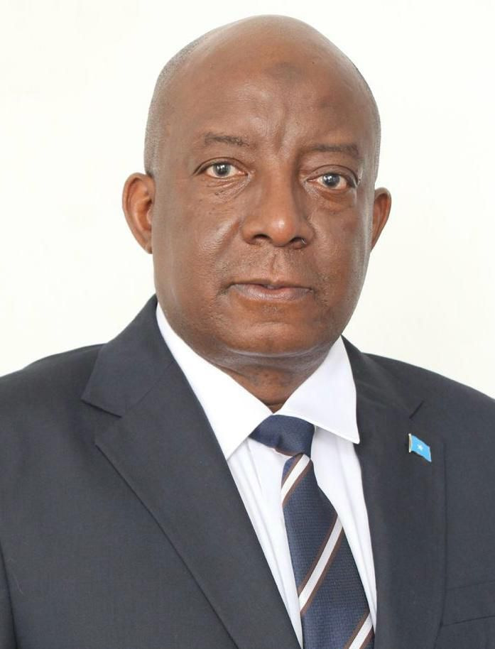 Somalia Maintains Major Milestones in the War Against Terror and State-Building