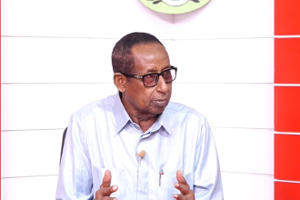 The Significance of Security Cooperation Between Somalia and Egypt